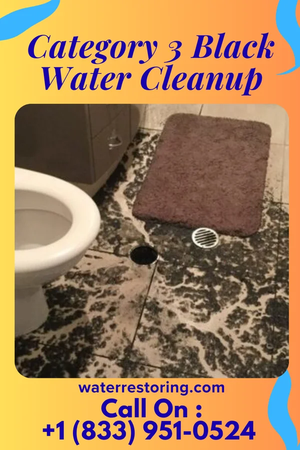 Category 3 Black Water Cleanup in Stockton, IA