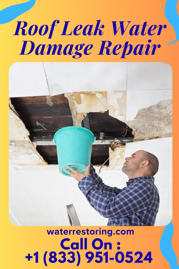 Roof Leak Water Damage Repair in Stockton, IA